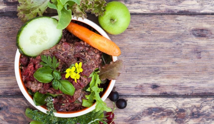 BARF Futter mit Gemüse Schale mit BARF-Fleisch
