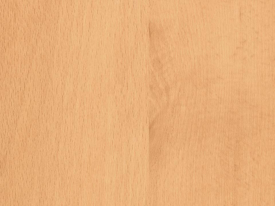 Ein Paneel aus Buchenholz