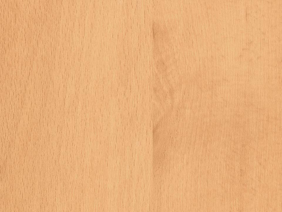 Ein Paneel aus Buchenholz