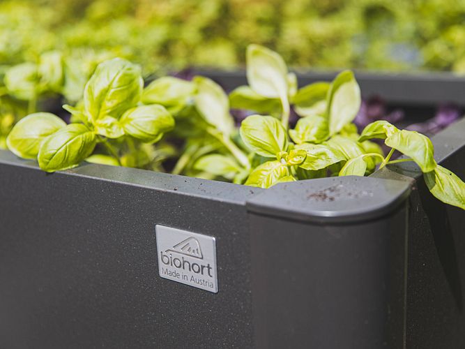 Biohort Produktneuheiten 2026