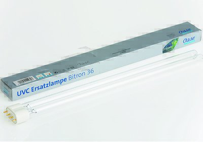 UVC Ersatzlampe Bitron 36 
