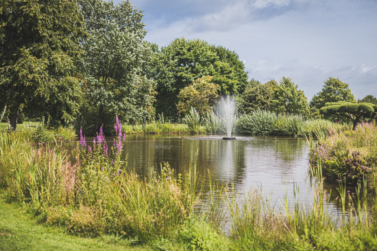 Großer Teich mit Wasserfontäne umringt von Bäumen