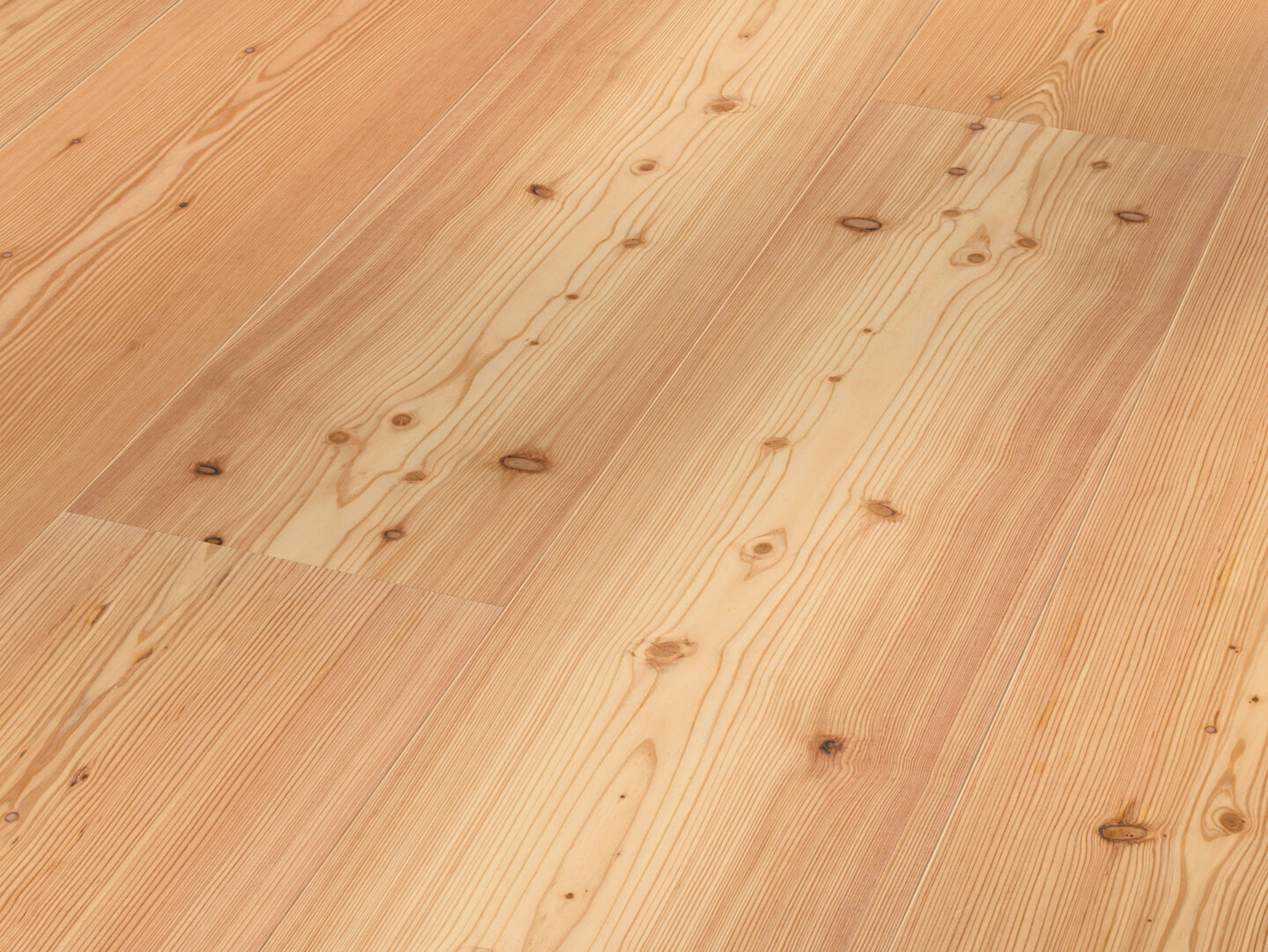 MeisterWerke_Lindura_Laerche