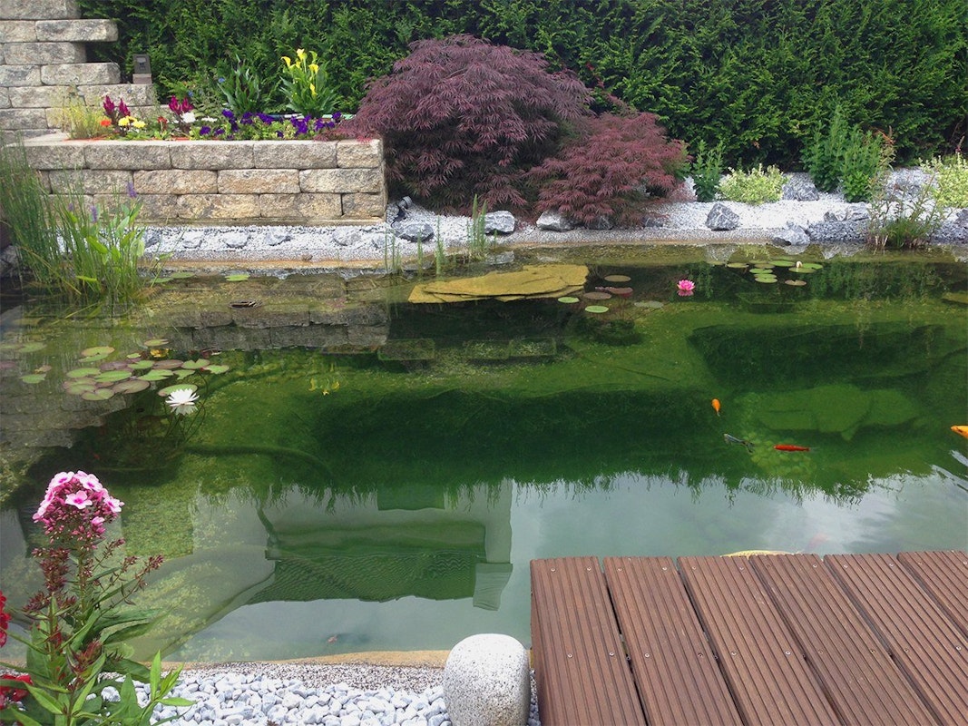 Blick auf Teich mit Terrassenrand