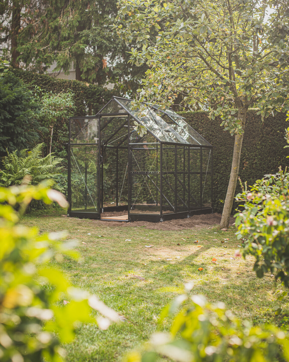 Das fertig montierte Juliana Qube Gewächshaus mit einer Grundfläche von 5,1m²