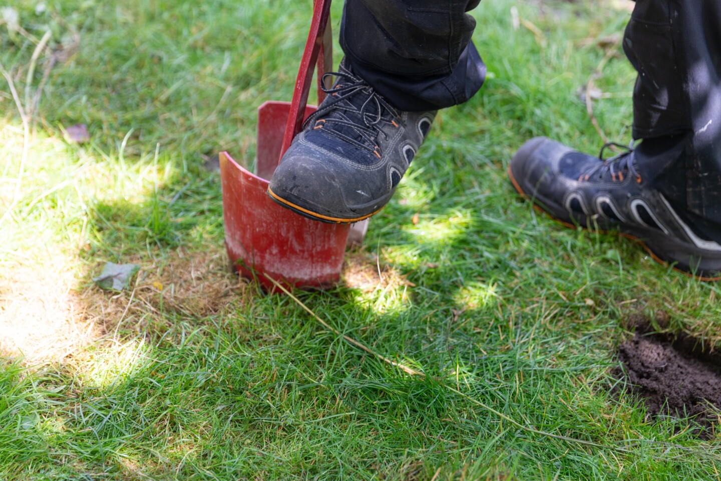 Die Löcher können mit einer Schaufel, einem Spaten oder einem speziellen Erdlochausheber gegraben werden
