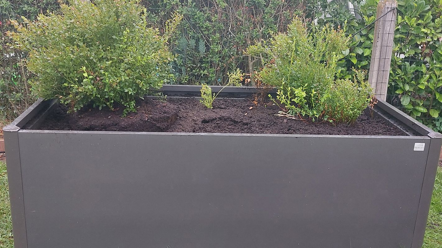 Biohort Hochbeet