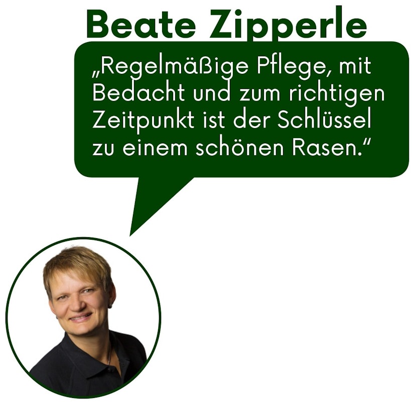 Expertentipp Expertentipp