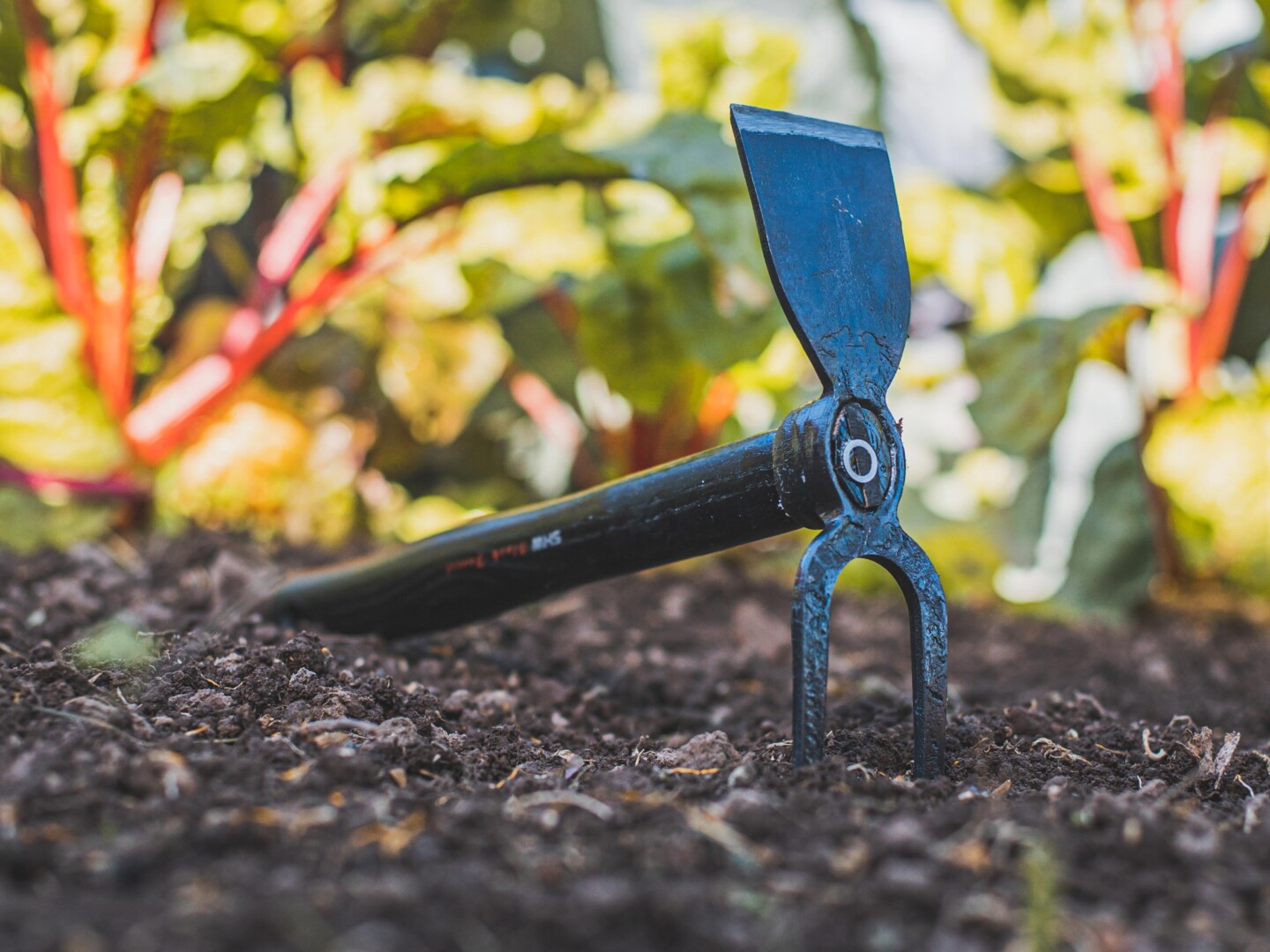 Gartenarbeit macht bei Sonnenschein richtig Spaß!