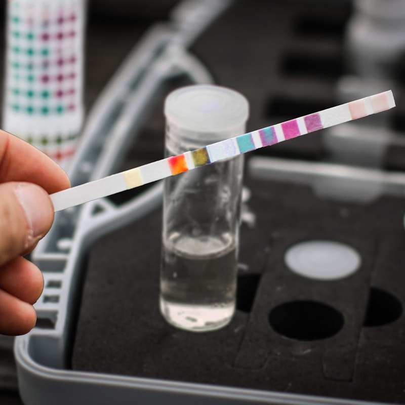 Teichwasser überprüfen und aufbereiten Teichwasser überprüfen und aufbereiten
