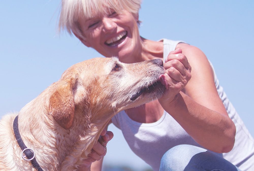 Senior Hundefutter von Happy Dog