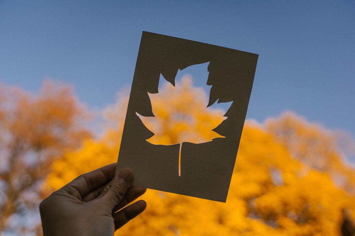 Ausgeschnittenes Blatt Ausgeschnittenes Blatt
