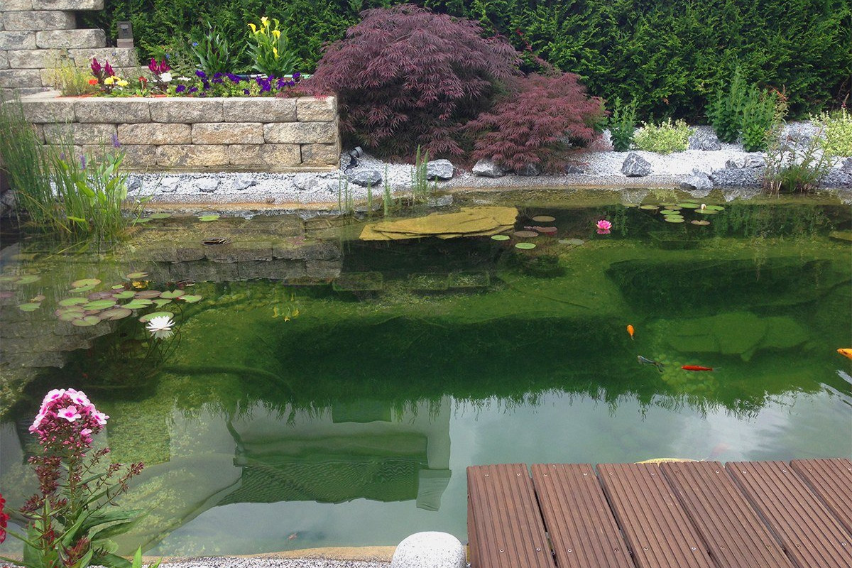 Schicker Koiteich mit interessanten Blickachsen!