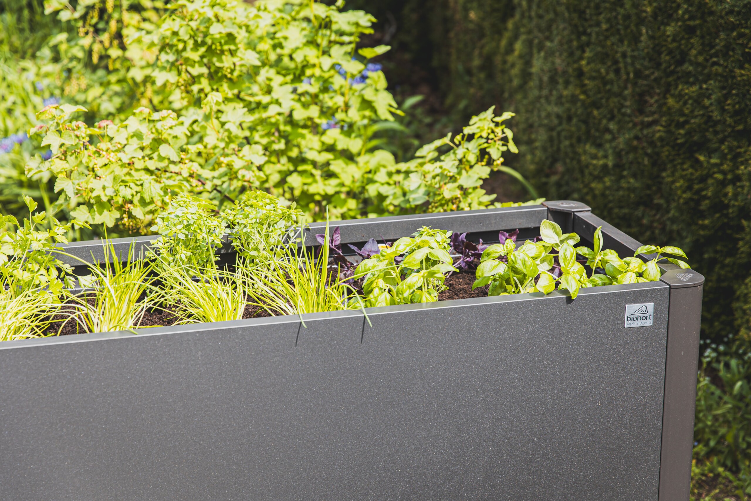 Lebensmittel selbst anbauen - Selbstversorgung Teaser Bild 1