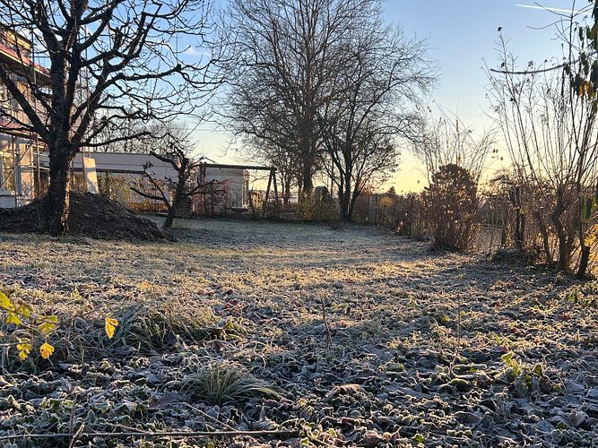 Den Garten winterfest machen: das gibts zu tun