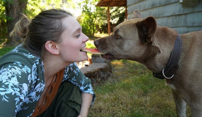 Obst: Gesunde Basis des Ernährungsplans Hund und Besitzerin teilen sich ein Stück Melone