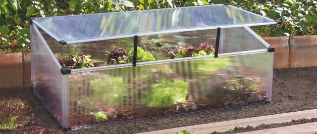 10 % auf Frühbeete & Frühbeetaufsätze