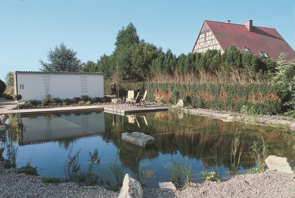 Schwimmteich mit Randzone Schwimmteich mit Randzone
