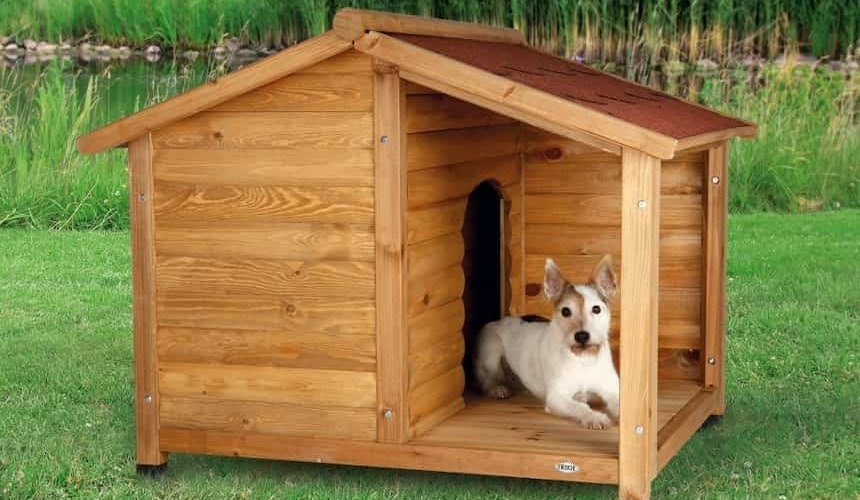 Hundehütte: Idealer Rückzugsort für Fellnasen kleiner Hund vor Hundehütte