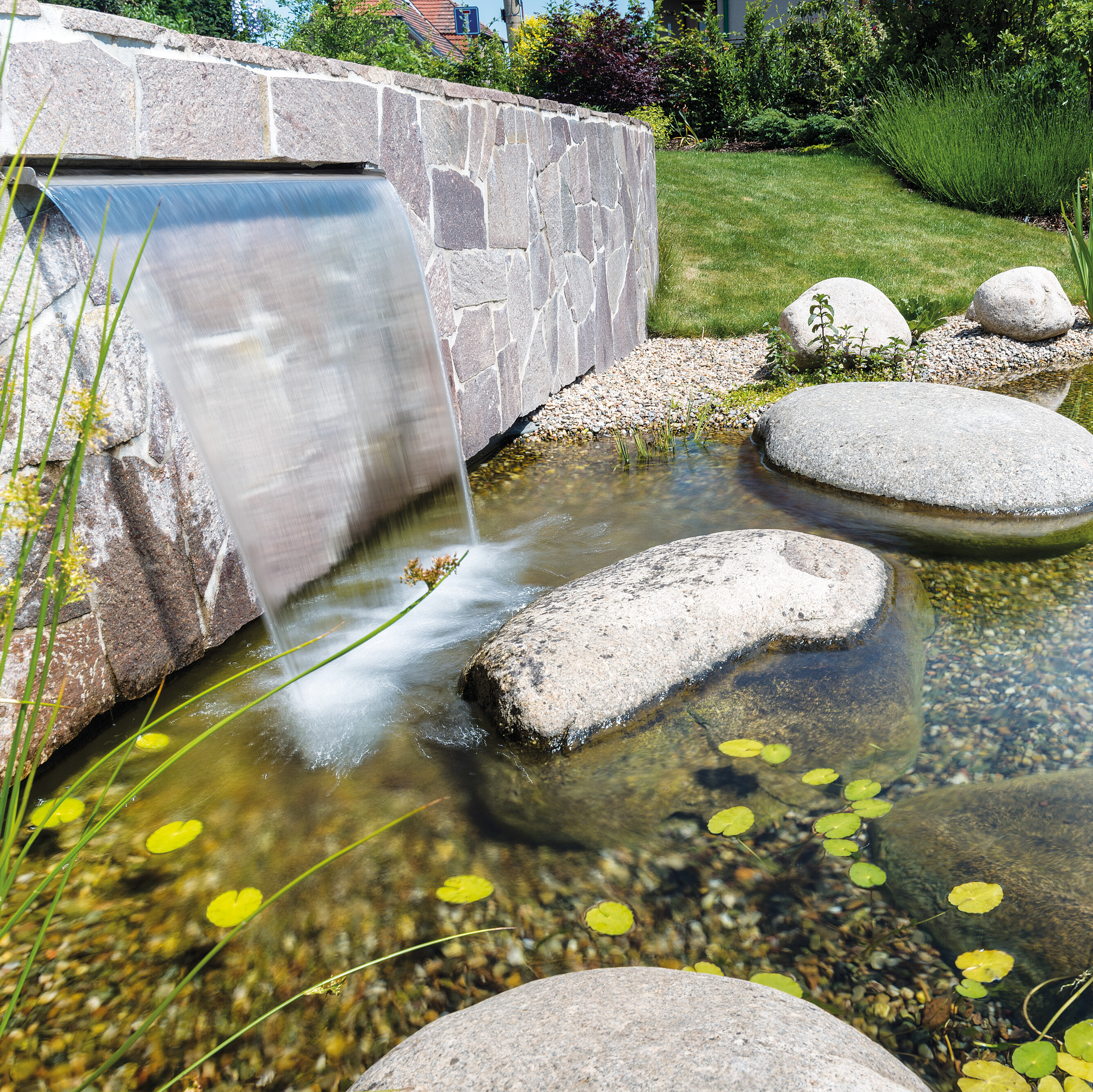 Gartentrends 2025 - Was bleibt und was neu ist