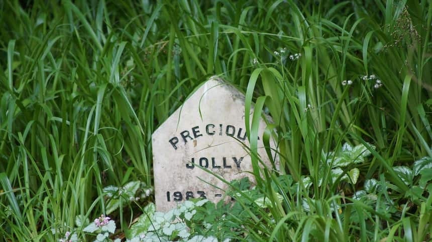 Eine kleine Ecke im Garten als letze Ruhestätte Hundegrabstein mit Inschrift Jolly