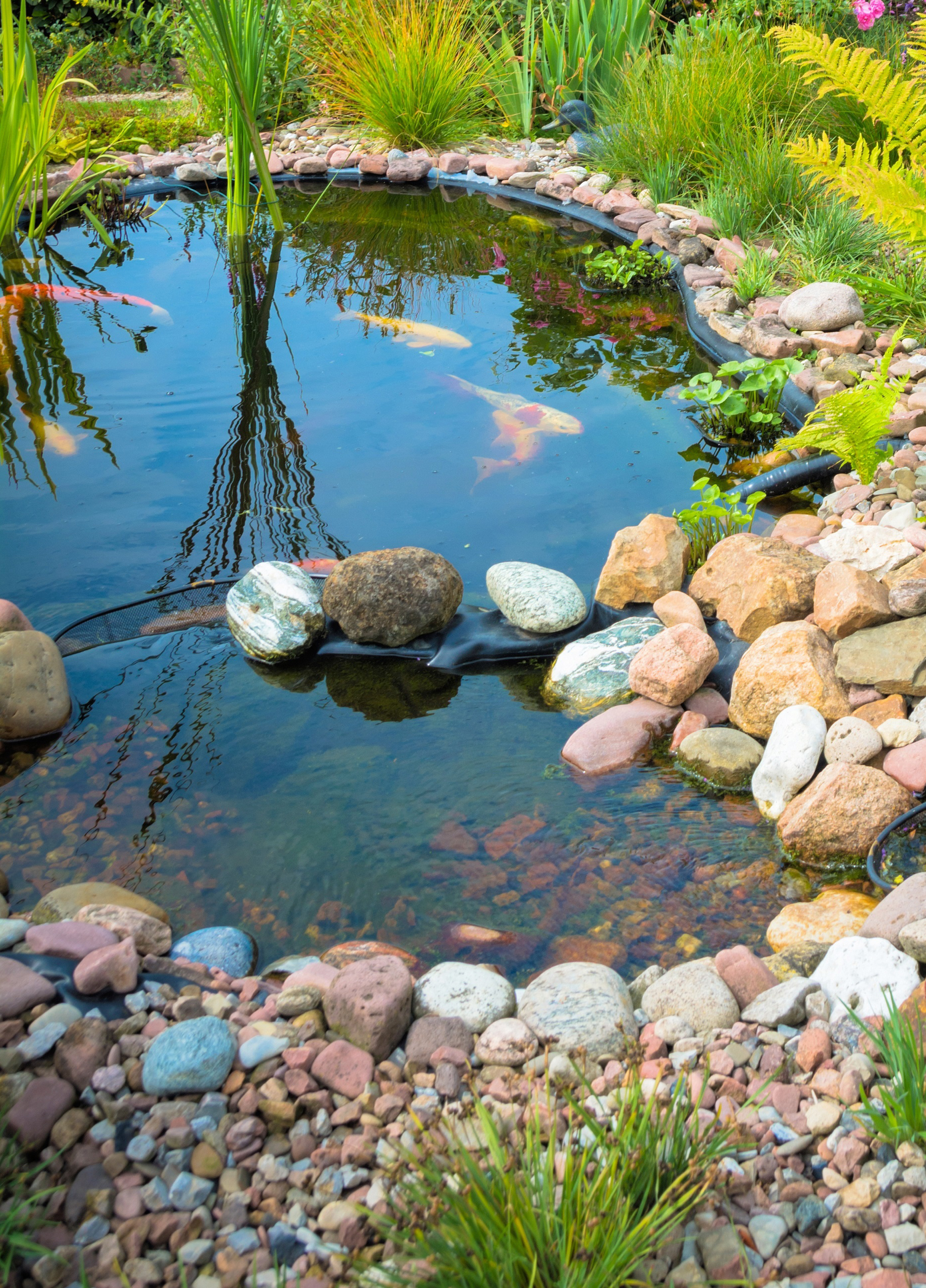 Klares Teichwasser – Wie wie bekomme ich meinen Teich sauber? Was hilft wirklich?