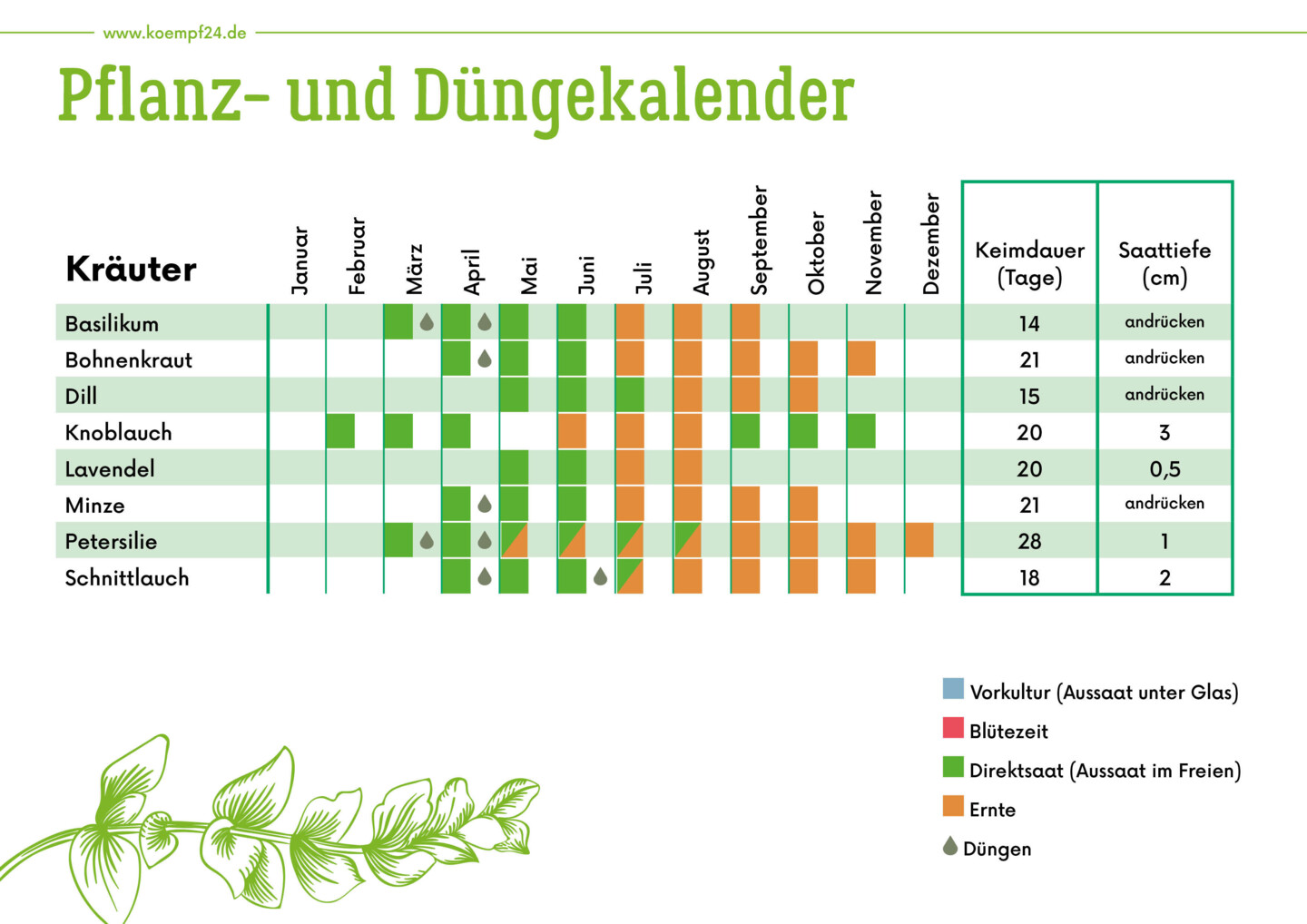 Pflanz- und Düngekalender für Kräuter