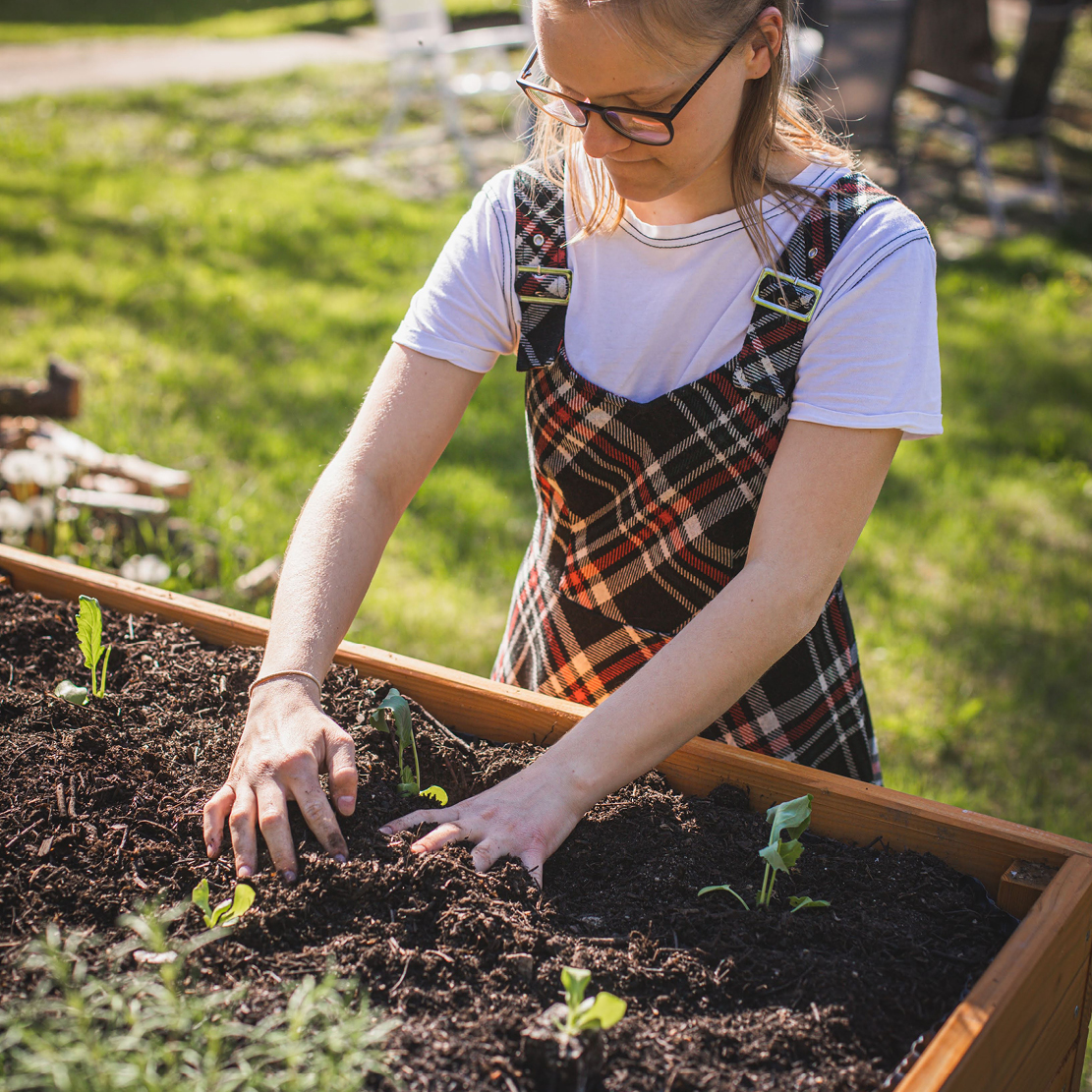 Gemüse selbst anbauen: im eigenen Hochbeet!