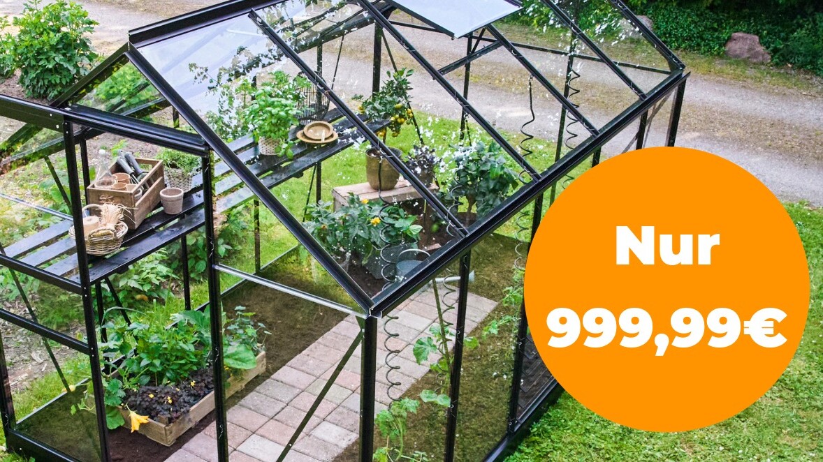 Halls Popular für 999,99€