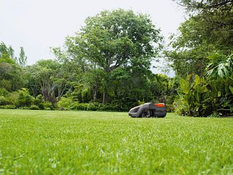 Mähroboter Kaufberatung