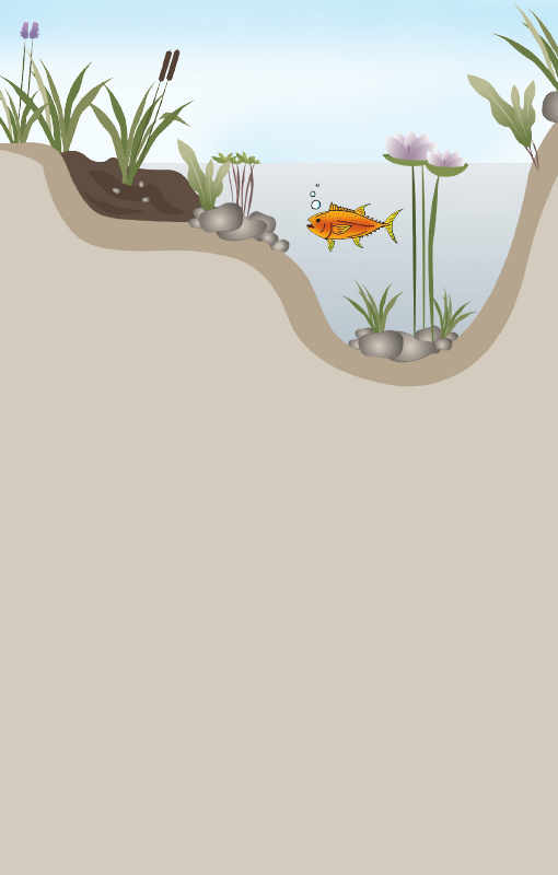 Gründe für Fadenalgen im Teich