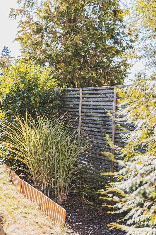 Horizontaler Holzzaun im grünen Garten mit Ziergräsern