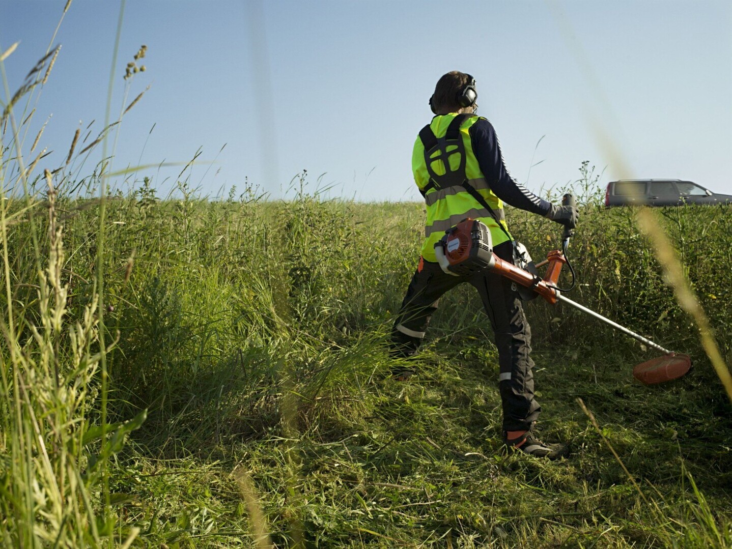 Rasentrimmer, Motorsense oder Freischneider?