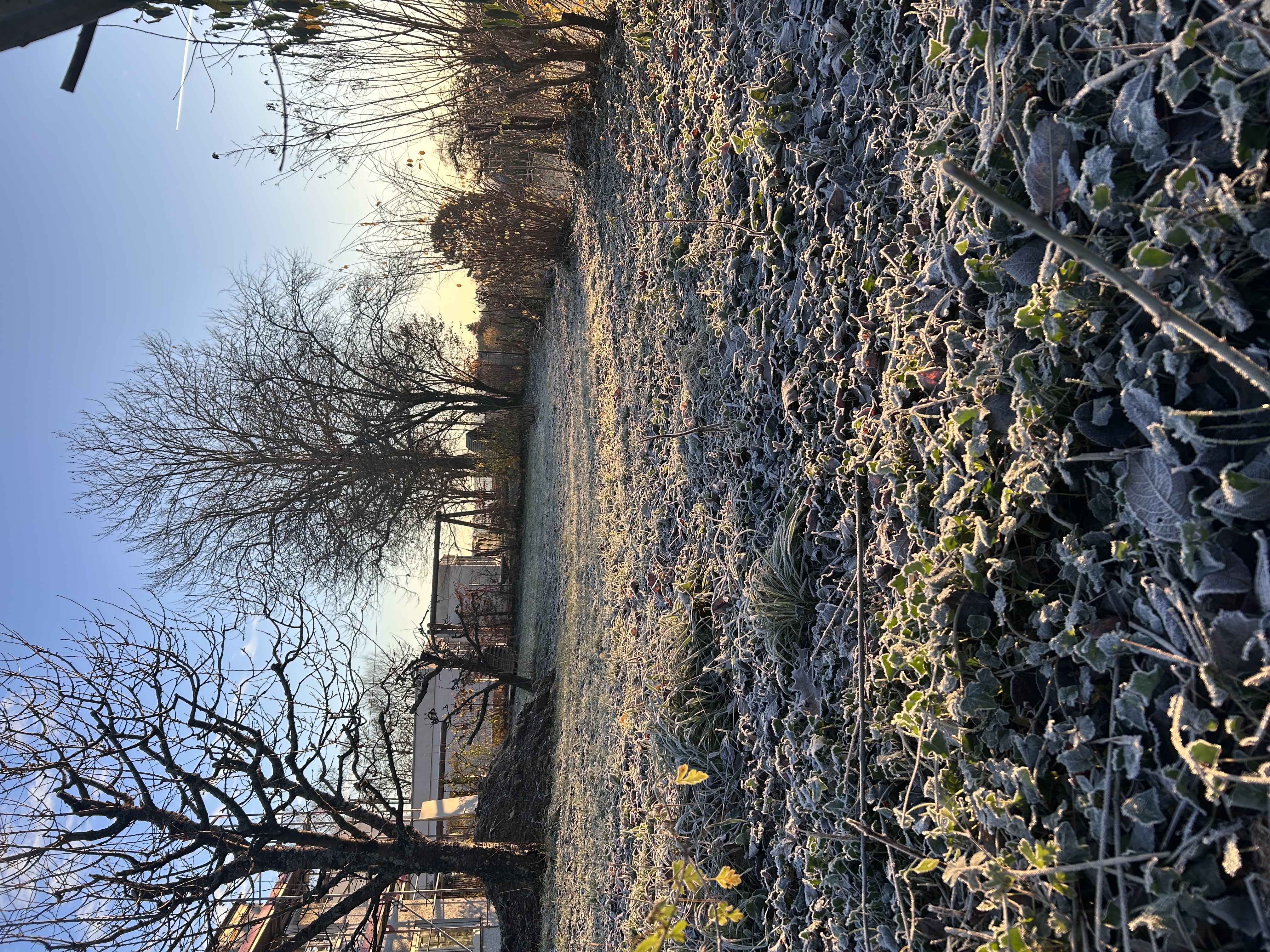 Den Garten winterfest machen: das gibts zu tun