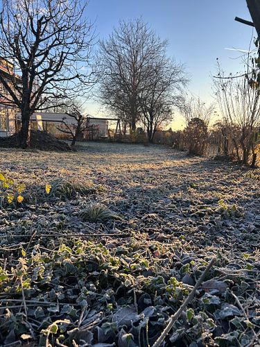 Den Garten winterfest machen: das gibts zu tun