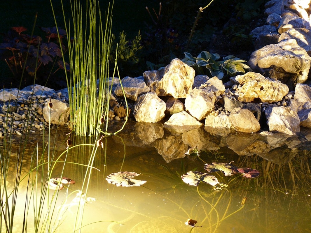 Beleuchteter Teich bei Nacht Teich bei Nacht leuchtet durch Beleuchtung unter und über Wasser.
