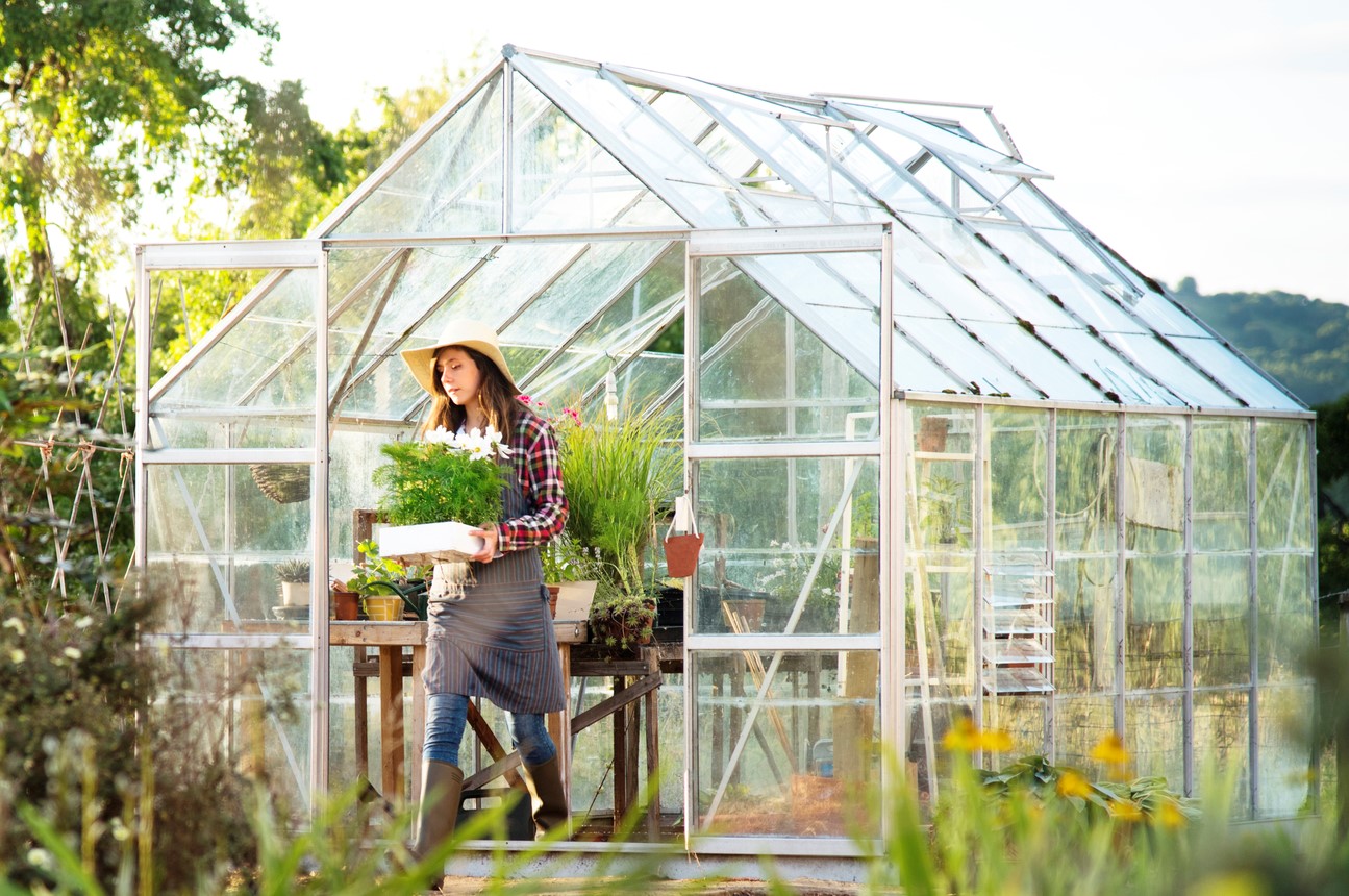 Frühling im Gewächshaus