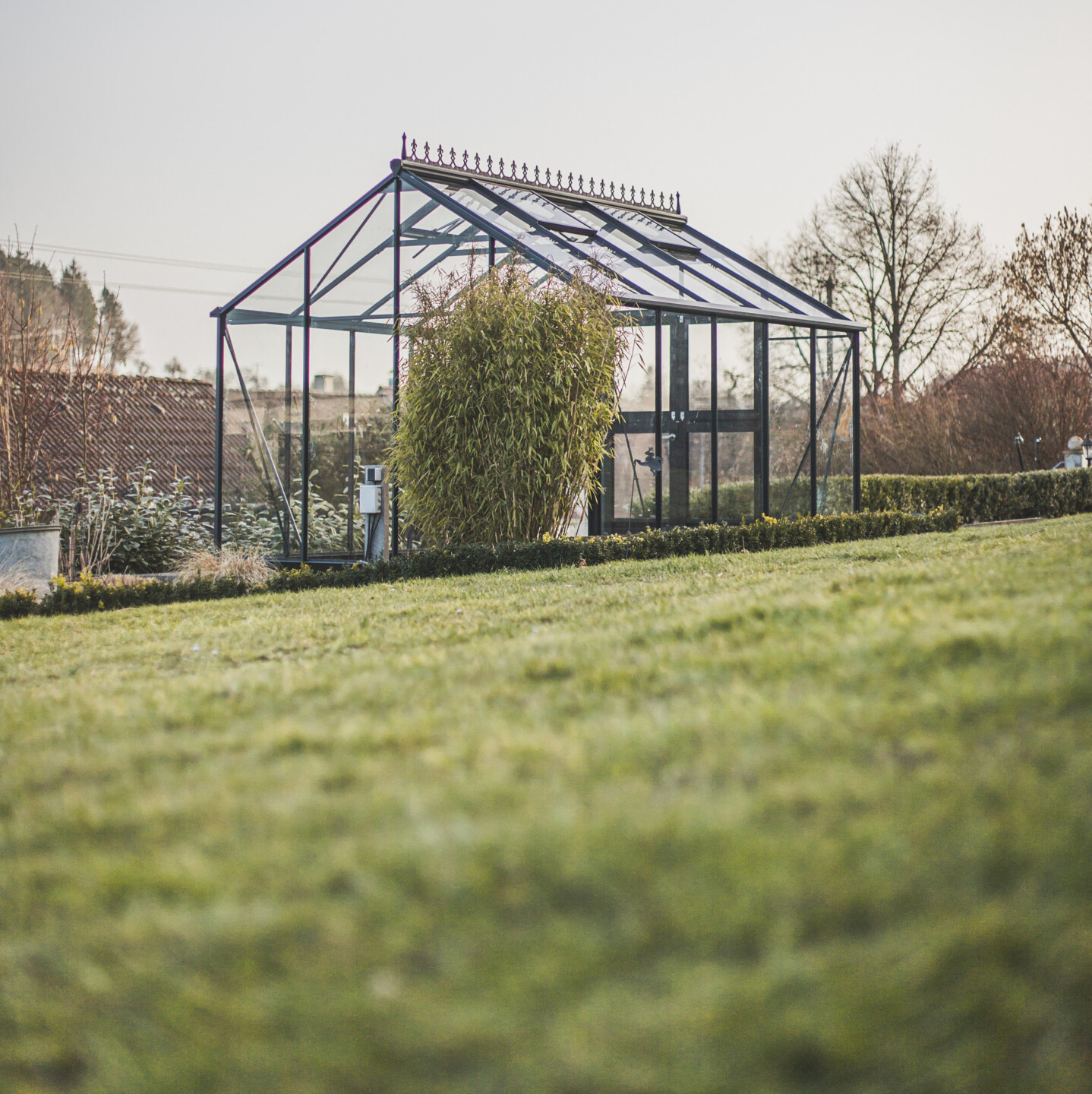 Ein tolles Gewächshaus ist das Modell Premium von Juliana, welches in drei unterschiedlichen Größen erhältlich ist.