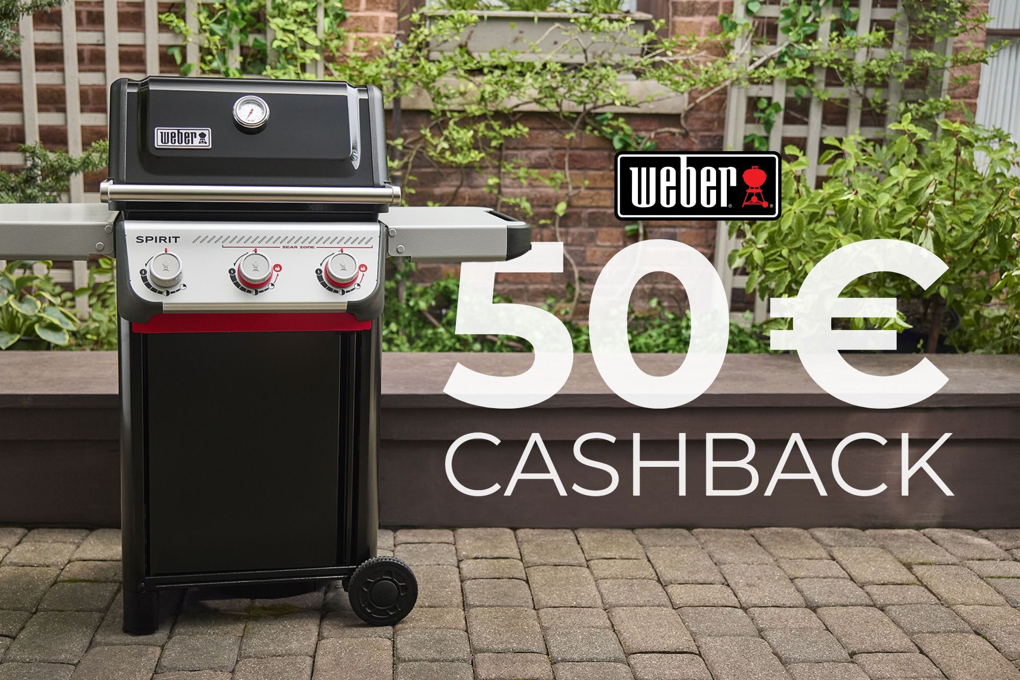 Weber Sommeraktion