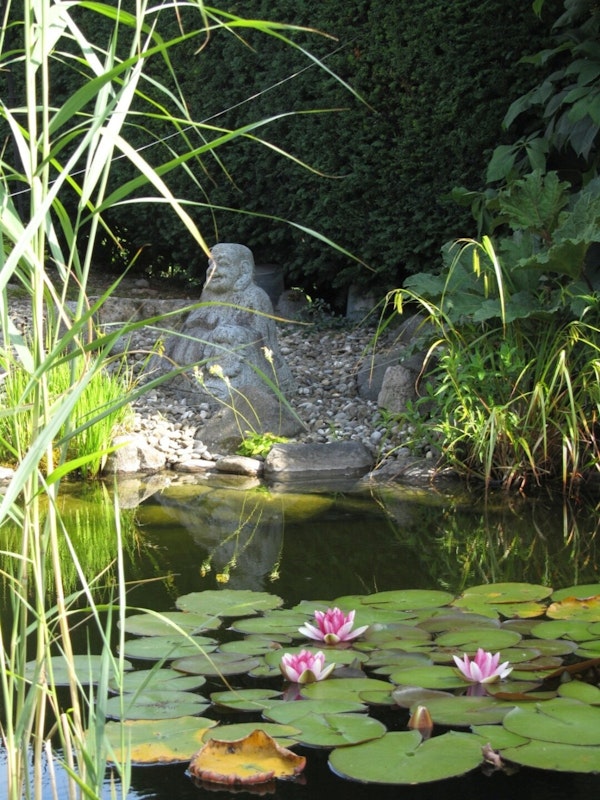 Teich mit Seerosen und Buddastatue