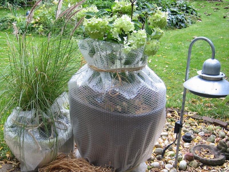 Noor Luftpolsterfolie Winterschutz