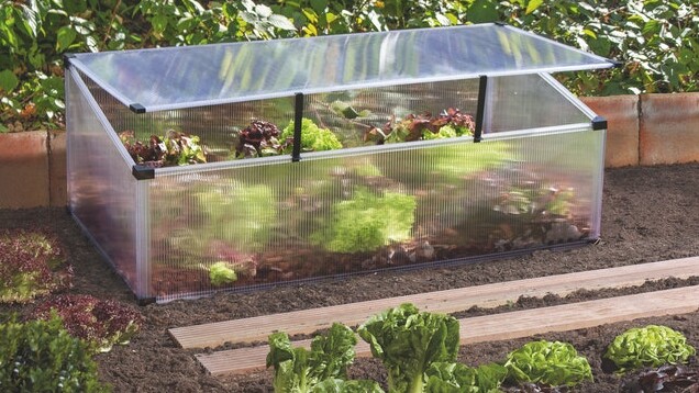 10 % auf Frühbeete & Frühbeetaufsätze