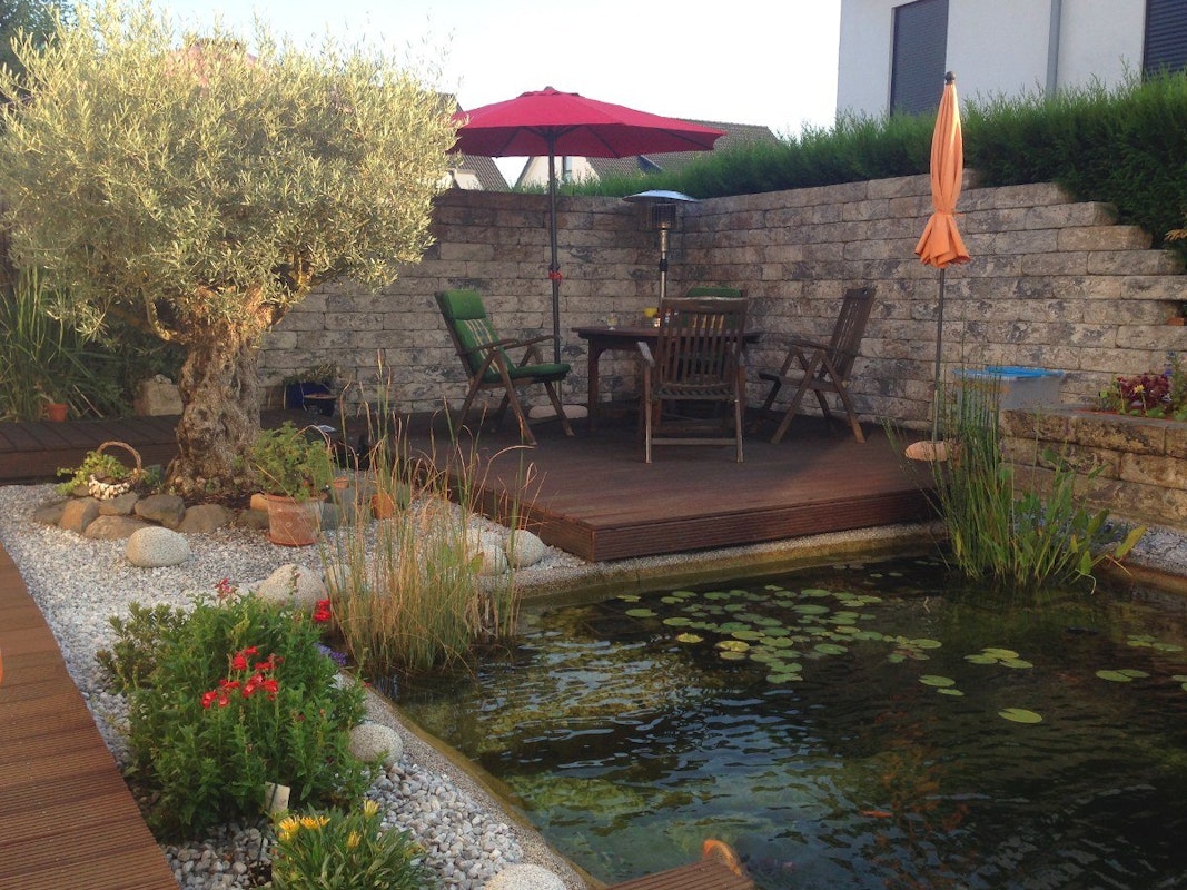 Teich mit Blick auf Terrasse