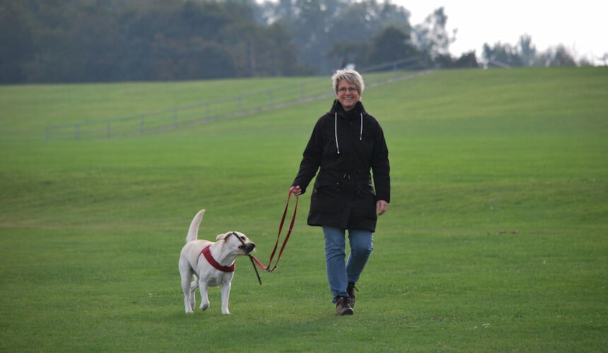 Gassirunde an der frischen Luft Frau mit Hund beim Spaziergang auf grüner Wiese