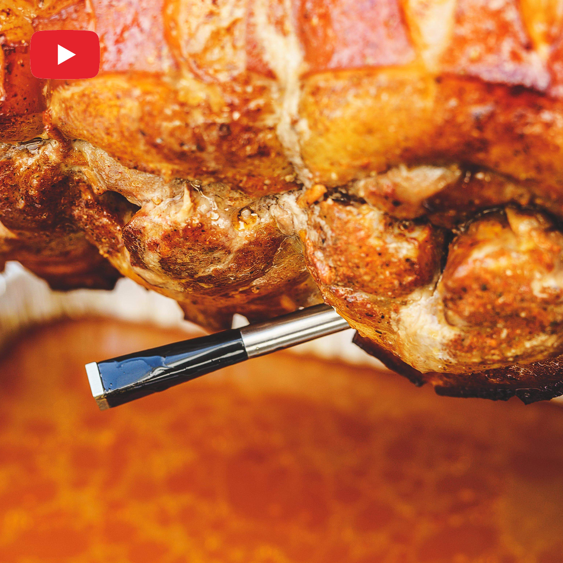 Meater+ und Meater App im Test