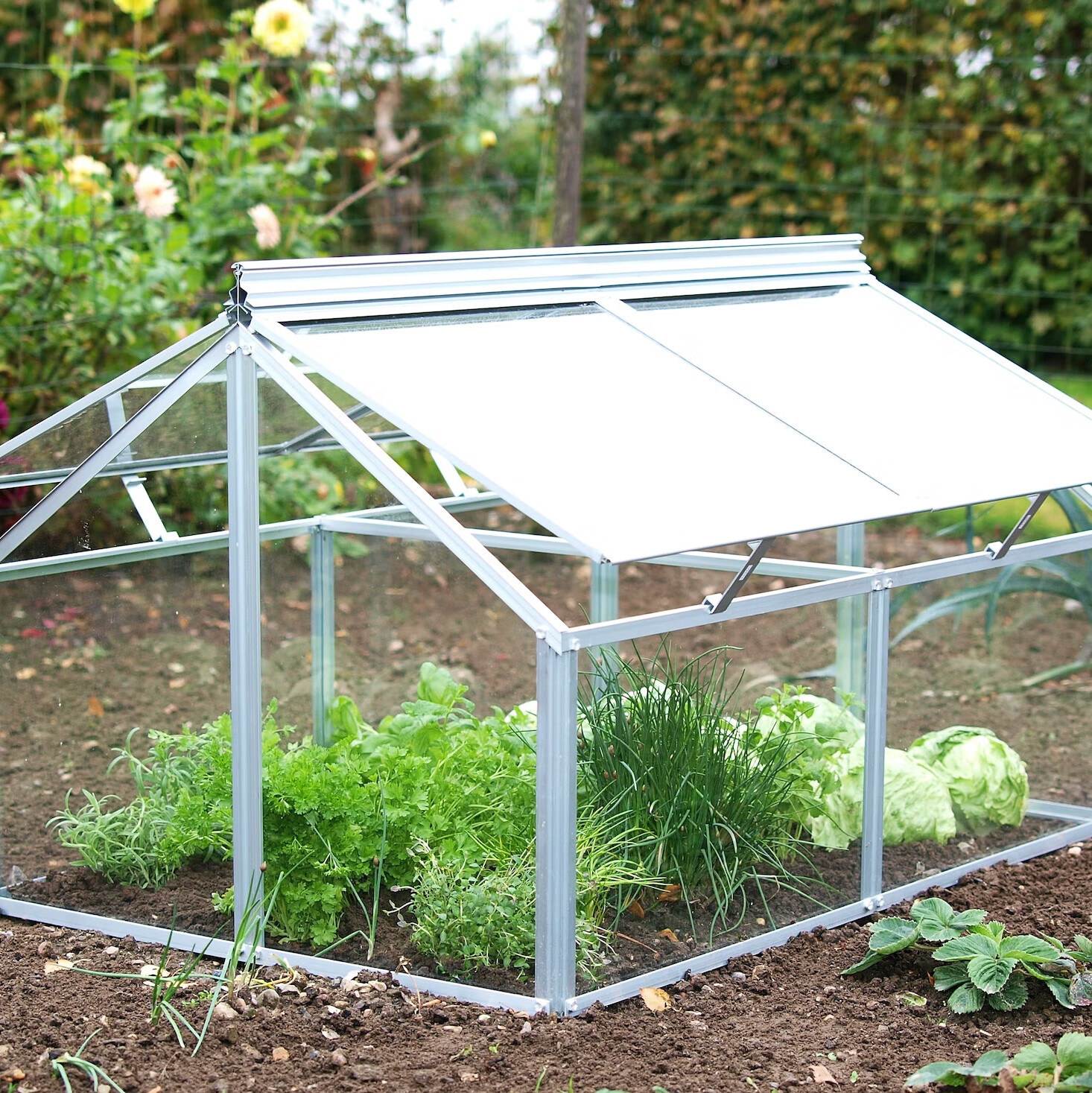 Auf einem Blick: Das wichtigste zum Frühbeet!