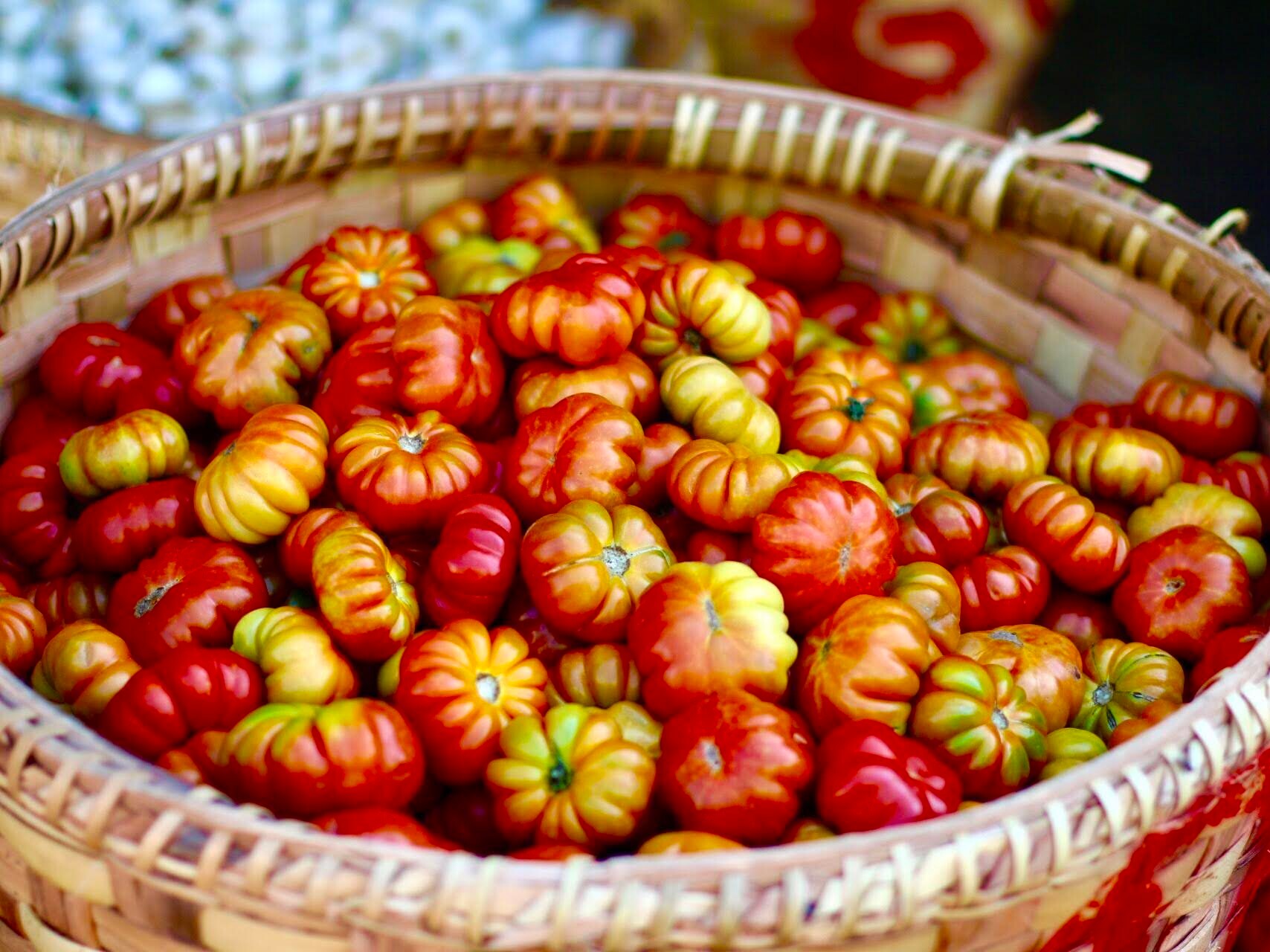 15 Tipps für eine reiche Tomaten-Ernte
