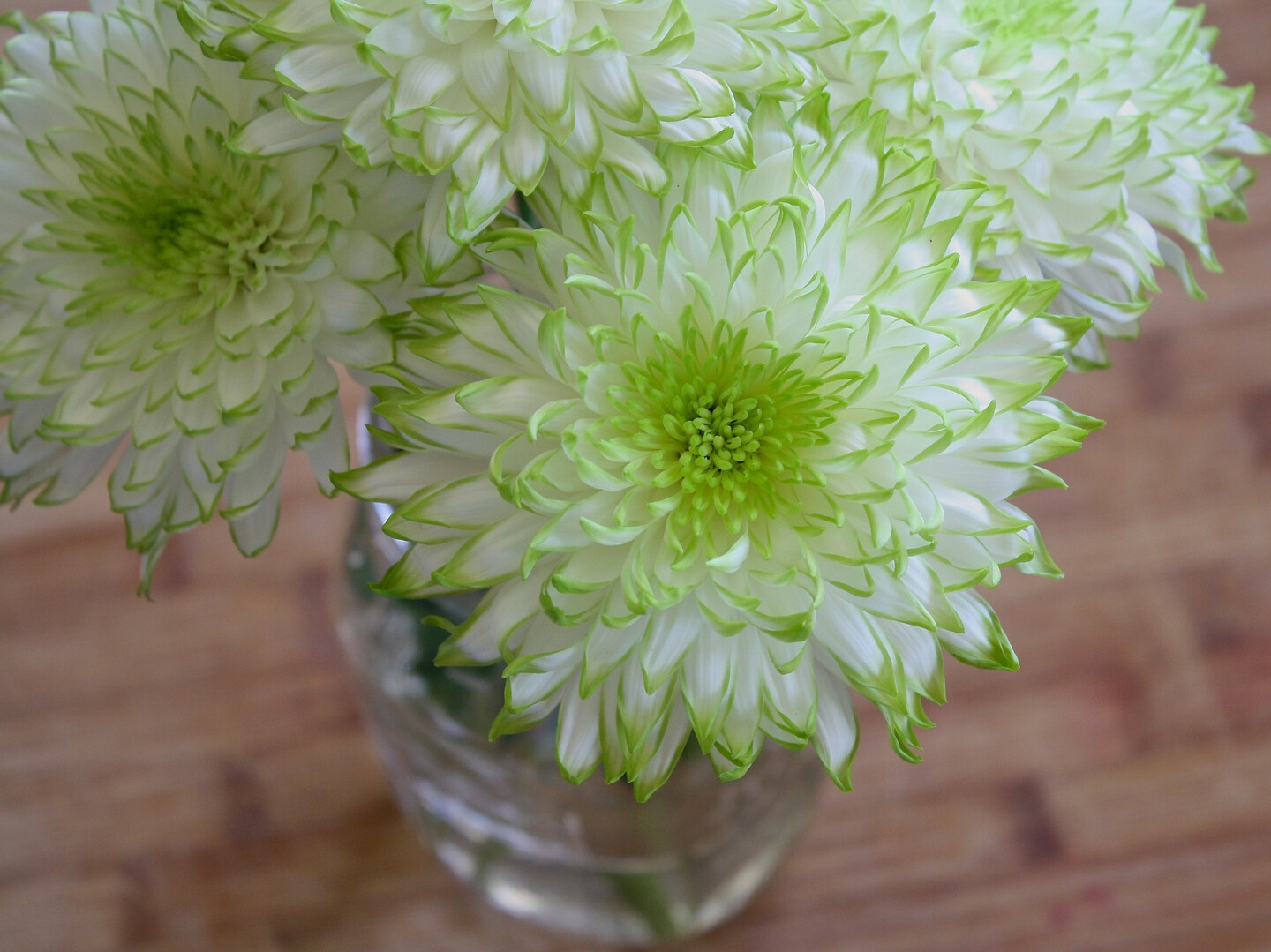 Gepflegte Wohlfühl-Orte schaffen