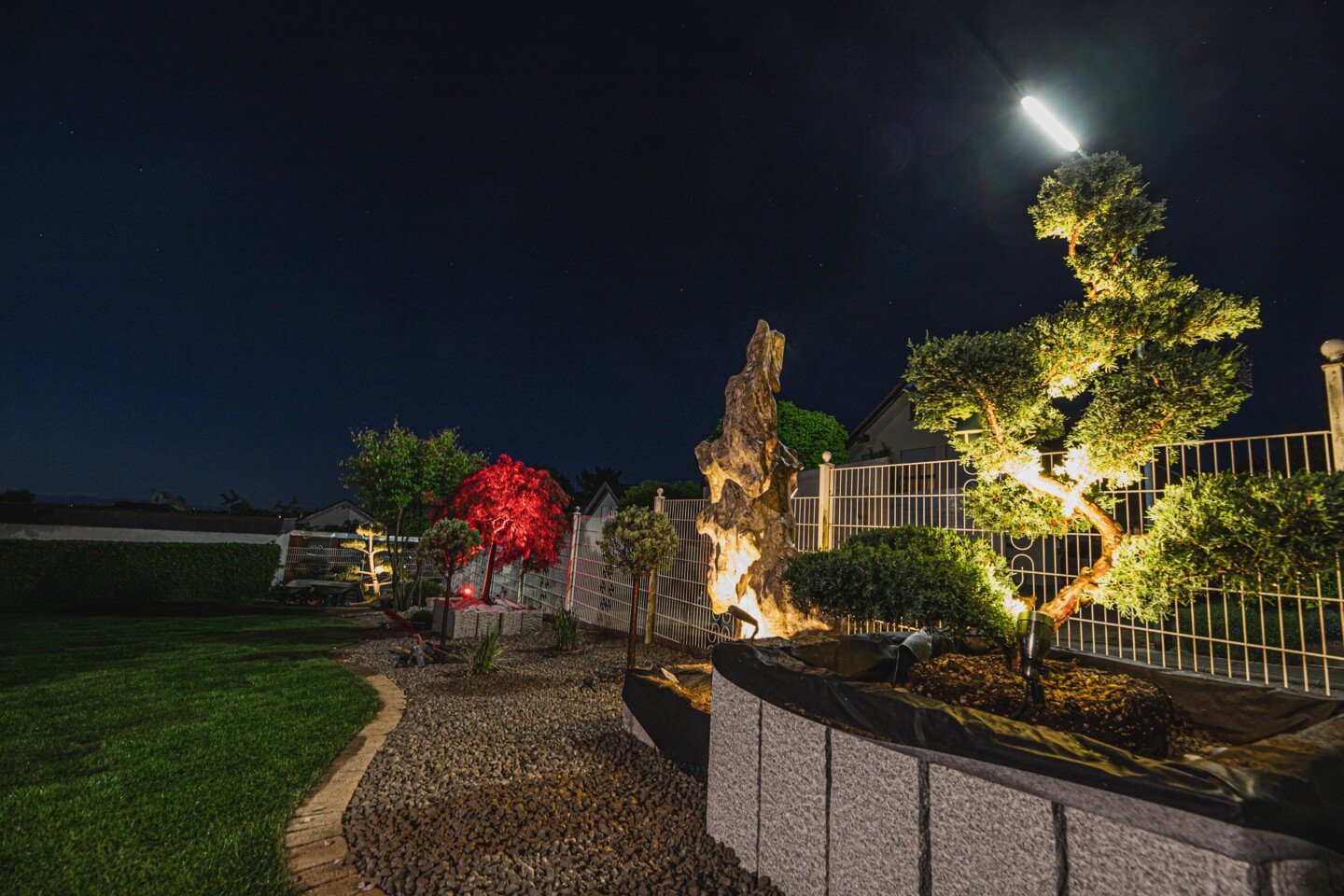 Mehrere Spotlights setzen einzelne Pflanzen und Skulpturen in Szene