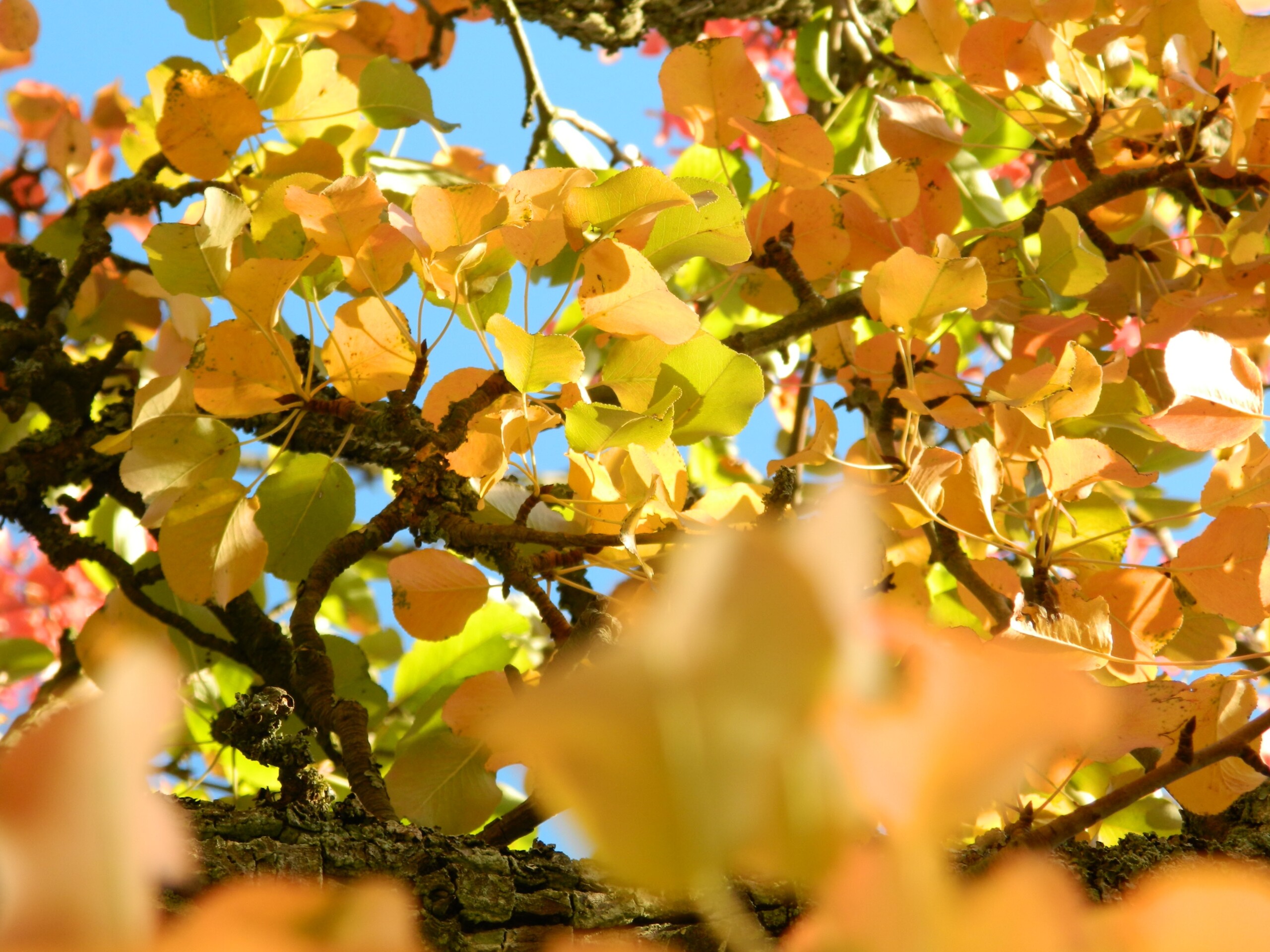 Produktfreisteller rechts